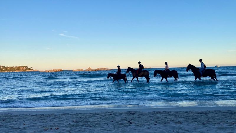 Balade à cheval dans l'eau de la baie au coucher du soleil