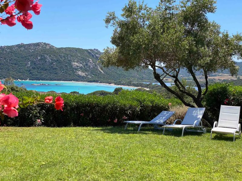Le jardin de la villa avec ses transats sous l'olivier, face à la baie turquoise de Santa Giulia